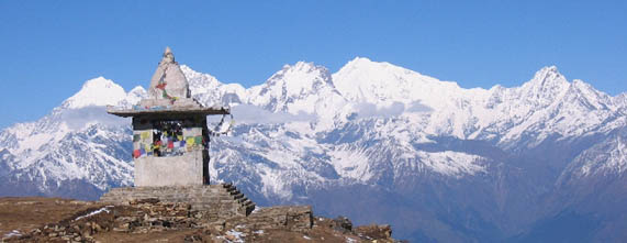 Himalayan