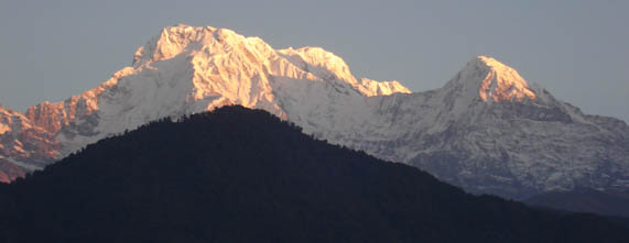 Himalayan