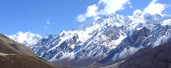 Himalayan