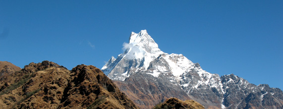 Himalayan