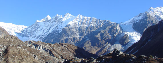 Himalayan