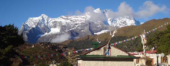 Himalayan