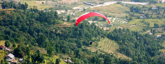 Himalayan