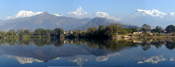 Himalayan