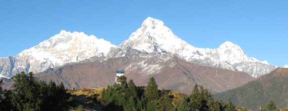 Himalayan